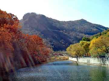 新澳天天开奖资料大全旅游团，暴君有种娶我